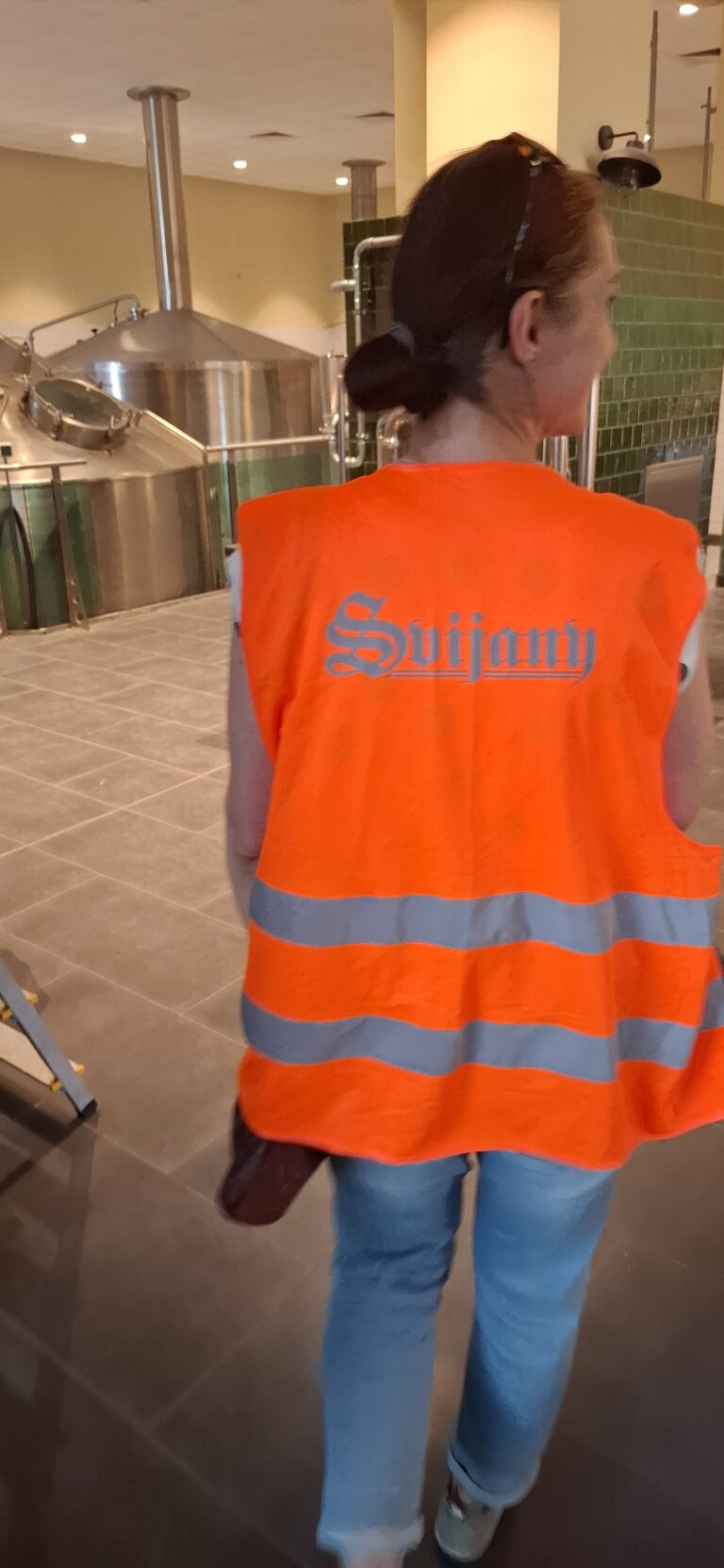 Svijany